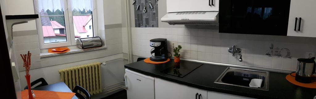 Apartmany Zelezna Ruda Bagian luar foto